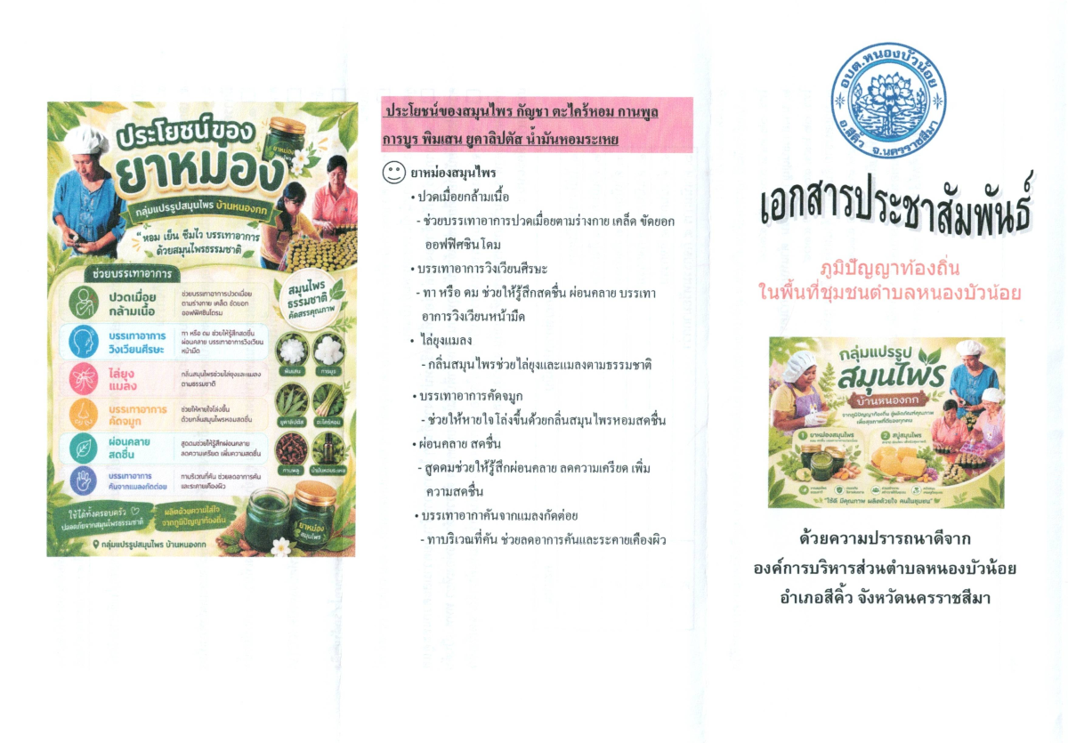 องค์การบริหารส่วนตำบลหนองบัวน้อย มีกลุ่มทอผ้า และกลุ่มกระดิ่ง เป็นภูมิปัญญาท้องถิ่น มีคุณค่า มีประโยชน์ สามารถนำไปใช้ในการแก้ไขปัญหาและการพัฒนาคุณภาพชีวิตและส่งเสริมรายได้ให้กับครอบครัว